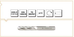 HSS - E (o) DIN 1889-B Silindirik Saplı Küresel Kalıpçı Freze - UZUN